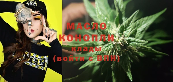 трава Сатка